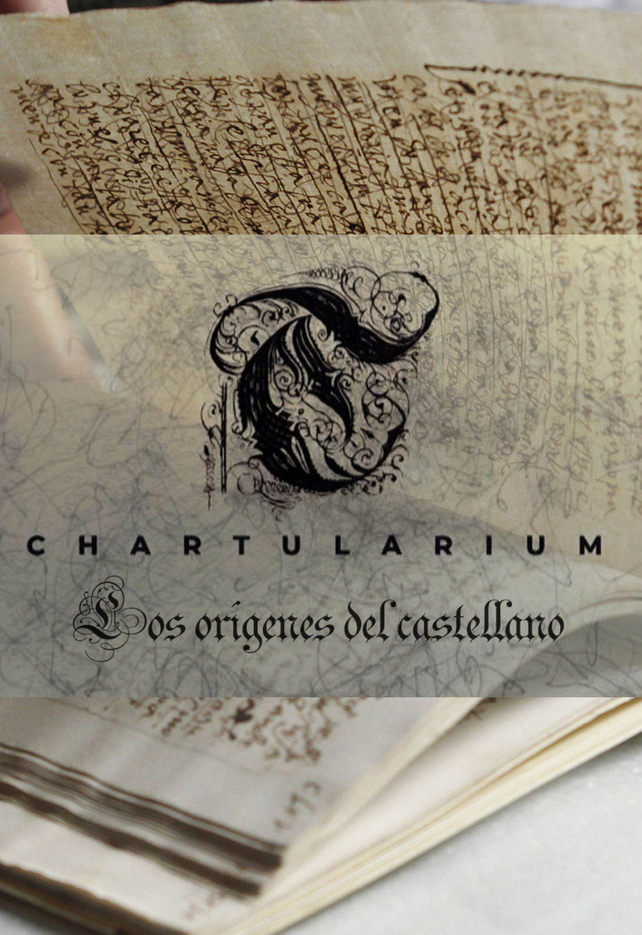 Chartularium