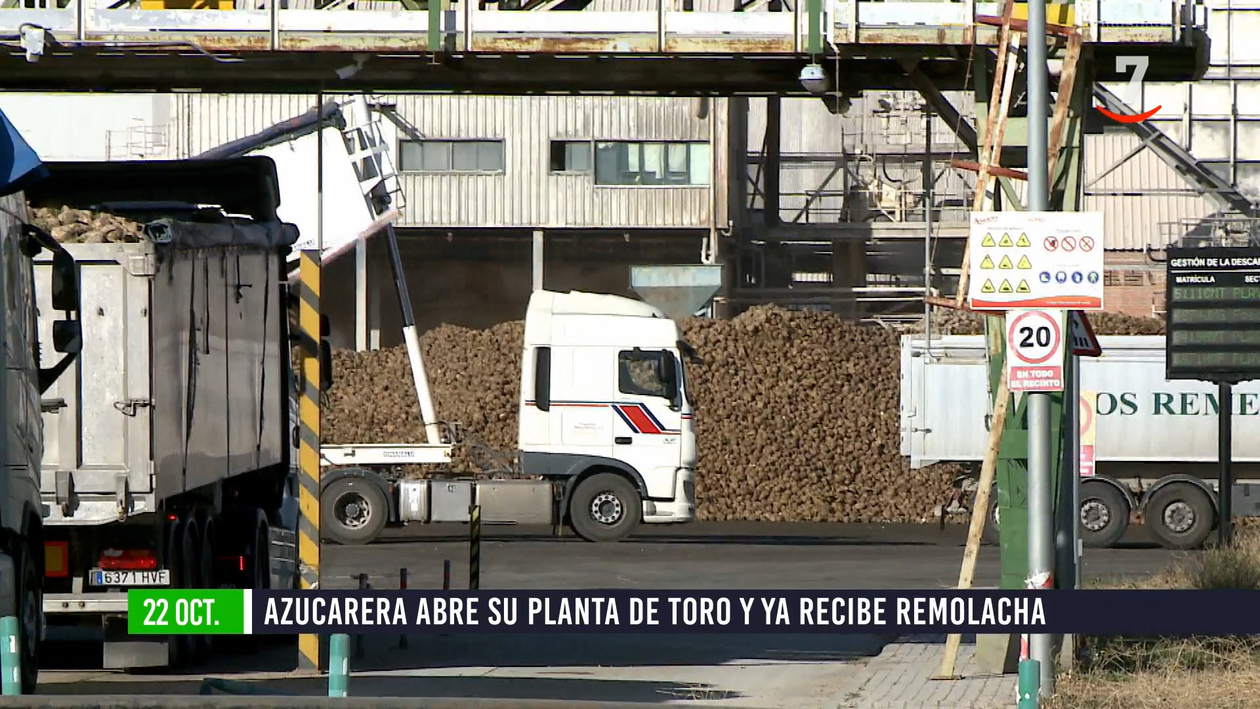 Flash El campo al día (22/10/2024): Las plantas de remolacha a pleno rendimiento