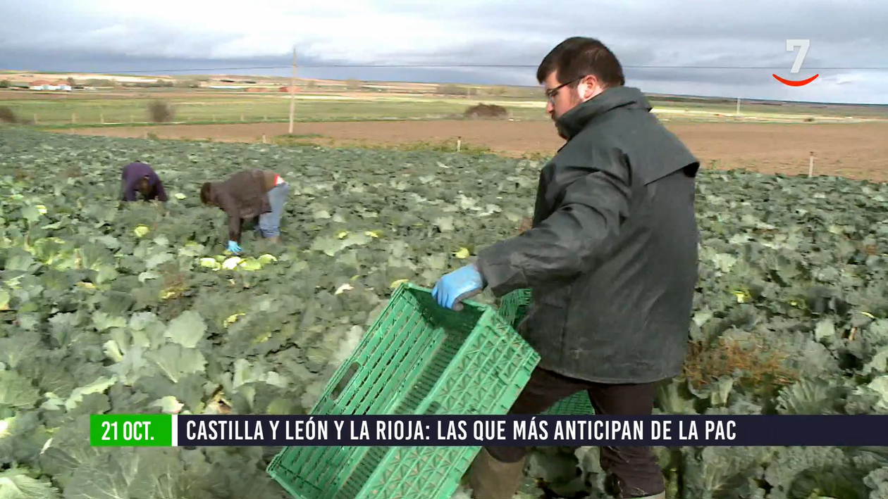 Flash El campo al día (21/10/2024) No todas las Comunidades llegan al 70% de los anticipos de la PAC