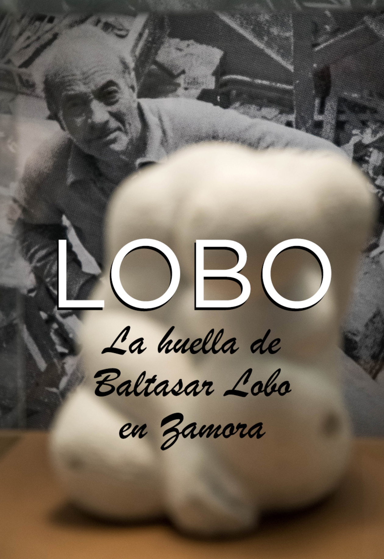 La huella de Baltasar Lobo en Zamora