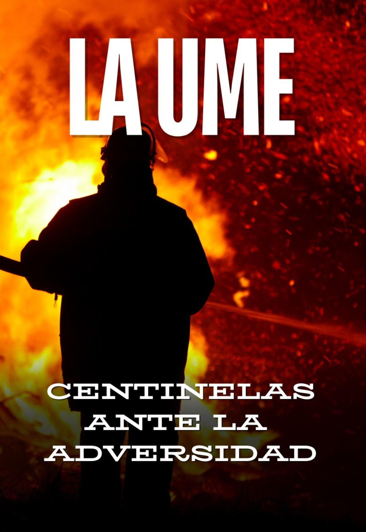 La UME. Centinelas ante la adversidad