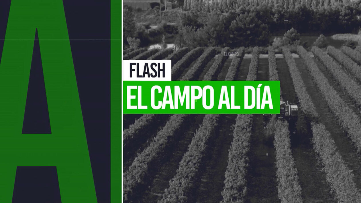 Flash El campo al día (04/10/2024)