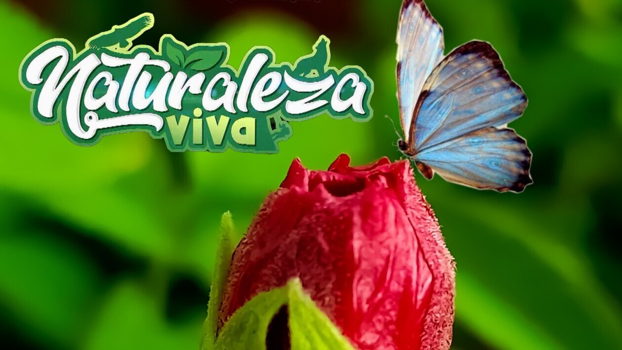 Naturaleza Viva