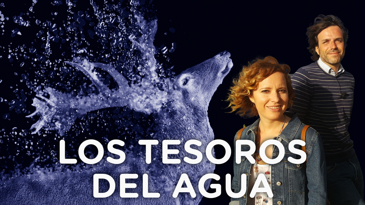 Los Tesoros del Agua