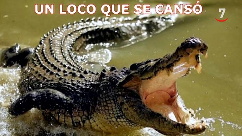 La búsqueda del cocodrilo en el Pisuerga convierte a Valladolid en el  centro de todos los memes 