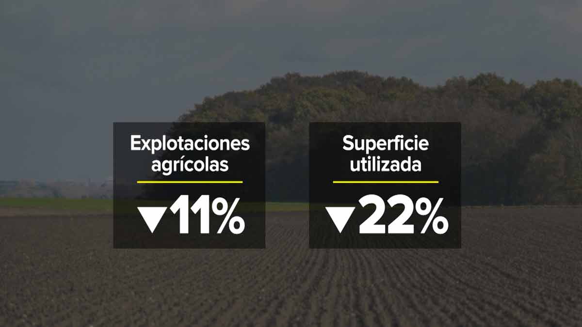 La Industrialización Del Campo El Censo Agrario Confirma Que En Los